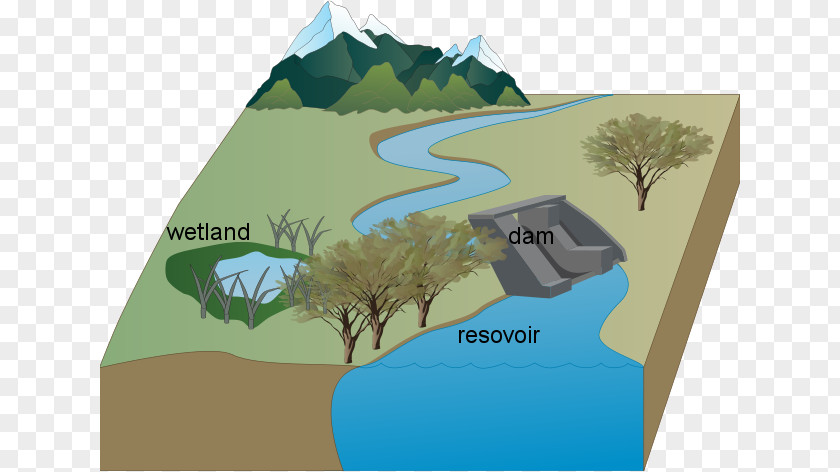 Water Resources Dam Reservoir Wetland PNG