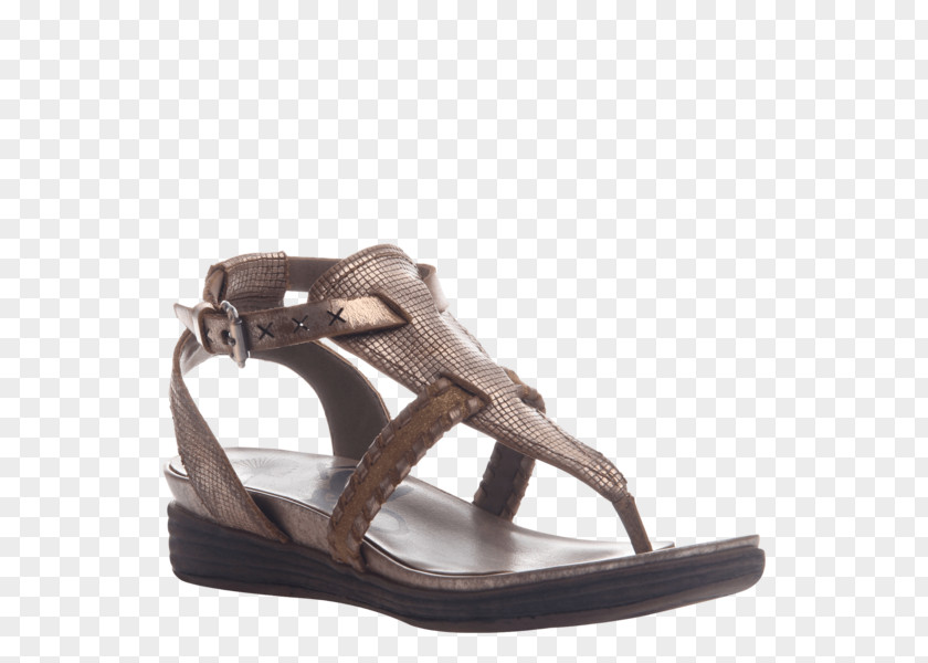 Flat Footwear Sandal Wedge Shoe Flip-flops Leather PNG