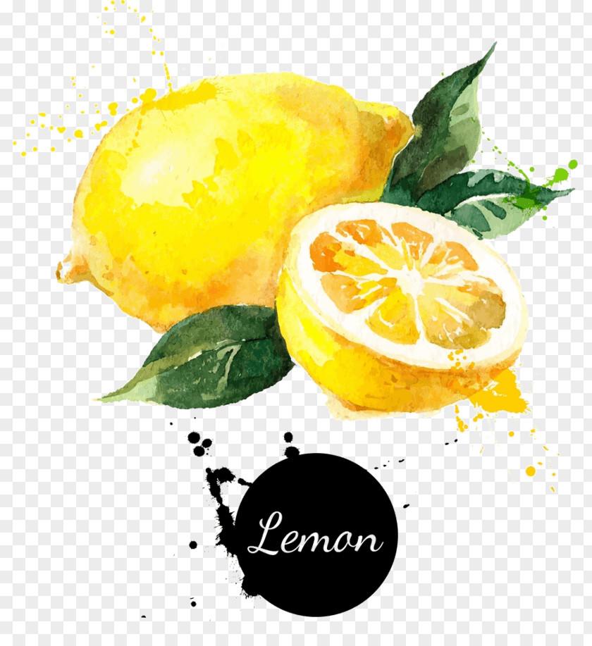 Lemon Background Vector Graphics Royalty-free Stock Photography Drawing PNG