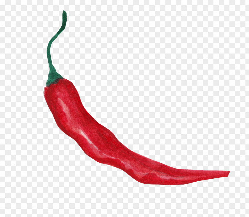 Red Pepper Tabasco Serrano Cayenne Bell Chili PNG