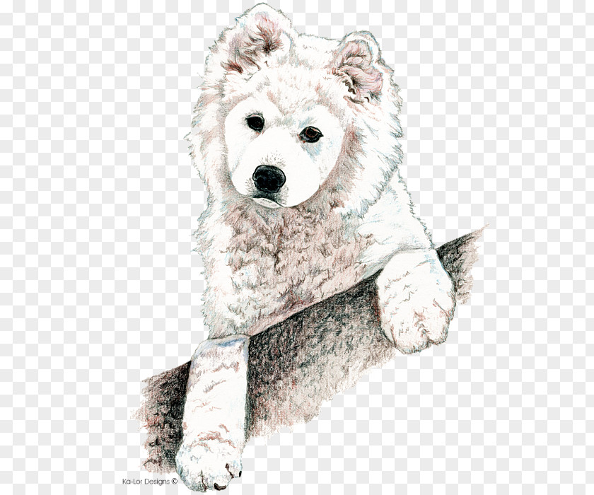 Samoyed Dog Breed Puppy Basenji Non-sporting Group PNG