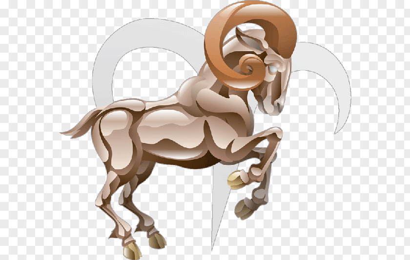 Sheep Aries Astrological Sign Zodiac Astrology PNG