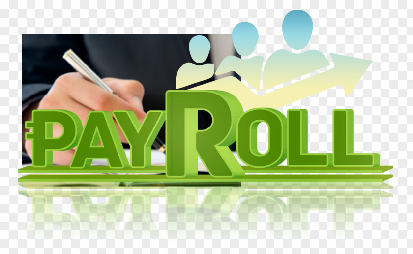 Business Payroll Outsourcing Human Resource Management PNG