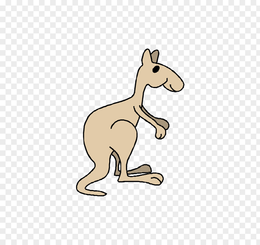 Cartoon Kangaroo PNG