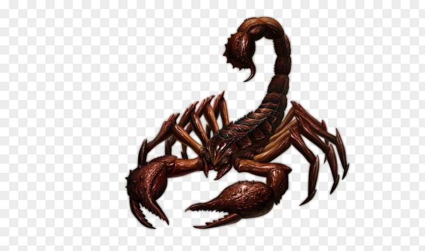 Cartoon Scorpion Insect PNG