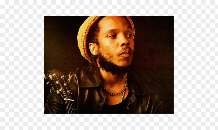 Grammy Award For Best Reggae Album Stephen Marley Musician Mind Control PNG