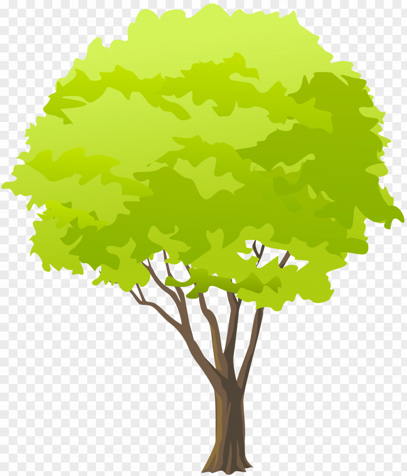 Green Tree Branch Clip Art PNG