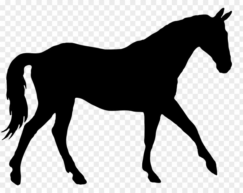 Horseshoe American Quarter Horse & Hound Dressage Silhouette Clip Art PNG