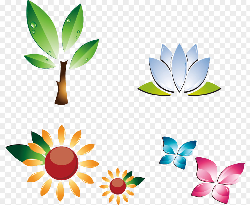 Vector Painted Sun Butterfly Plant PNG