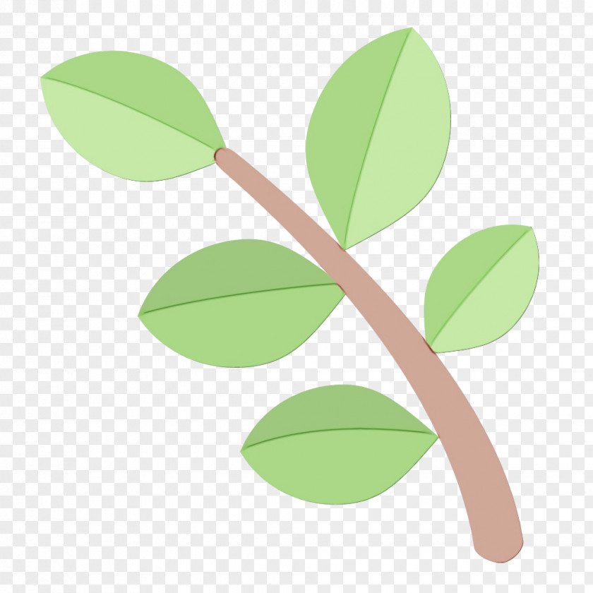 Arctostaphylos Twig Green Leaf Background PNG