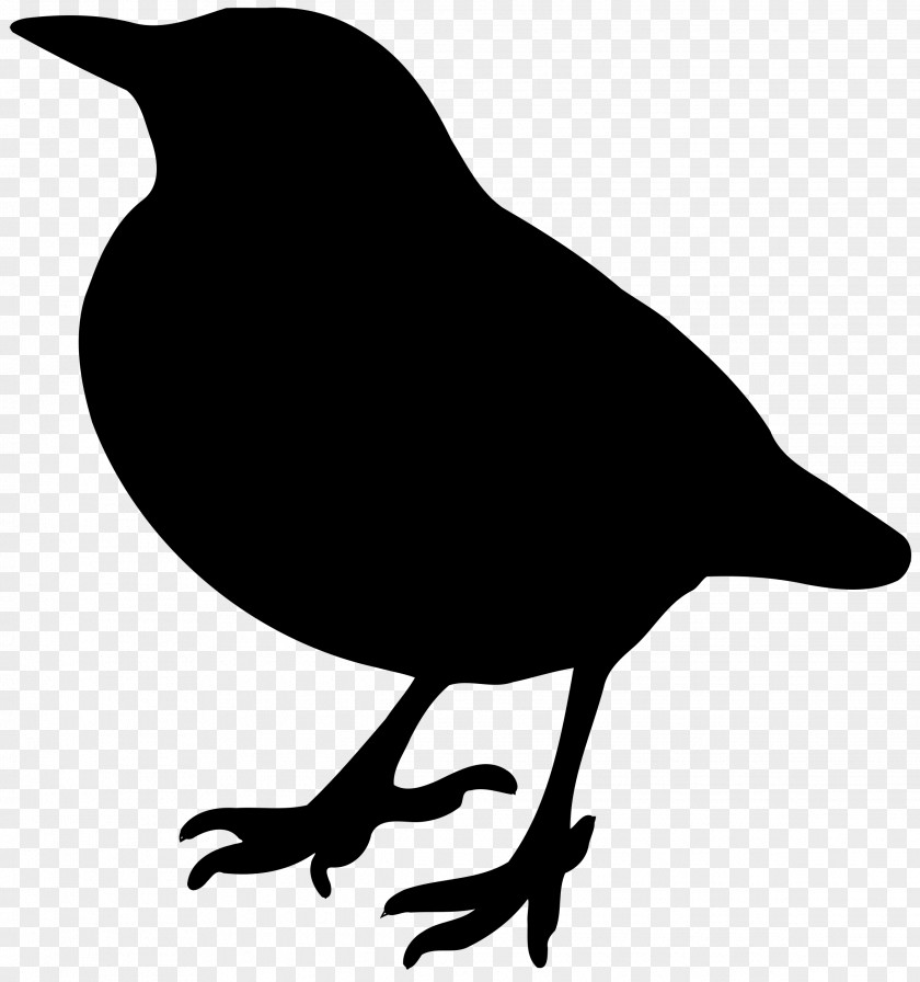Bird American Crow Lovebird Silhouette Clip Art PNG