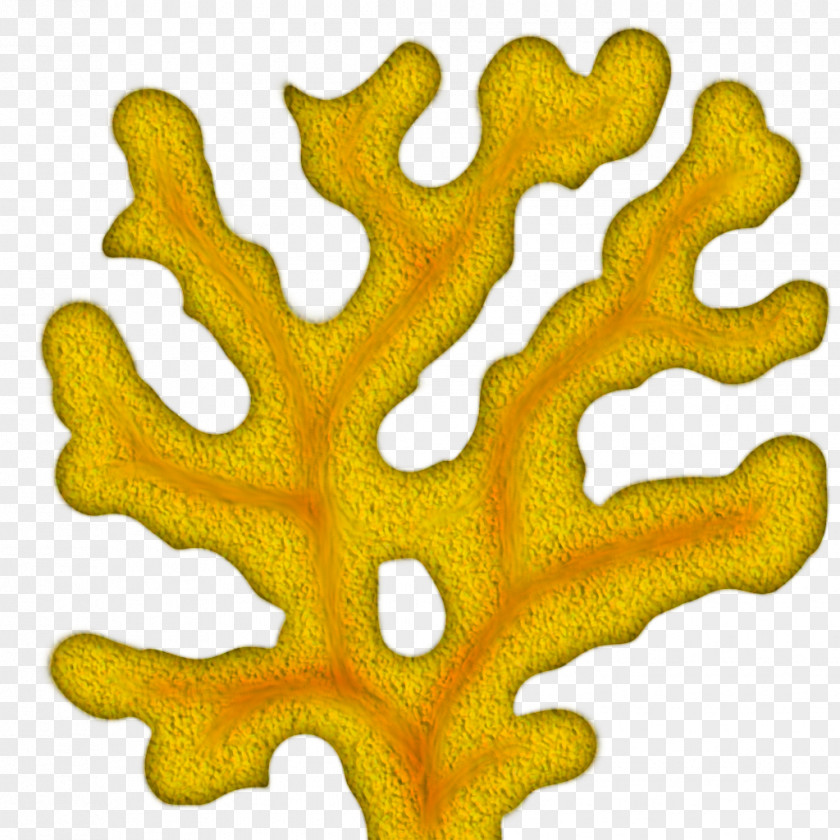 Coral Tree Cliparts Reef Clip Art PNG