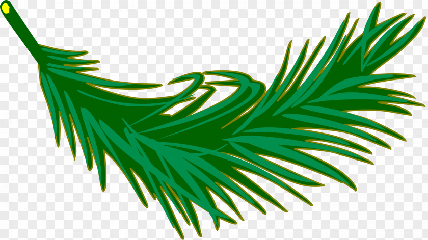 Palm Tree Leaf Arecaceae Branch Frond Clip Art PNG