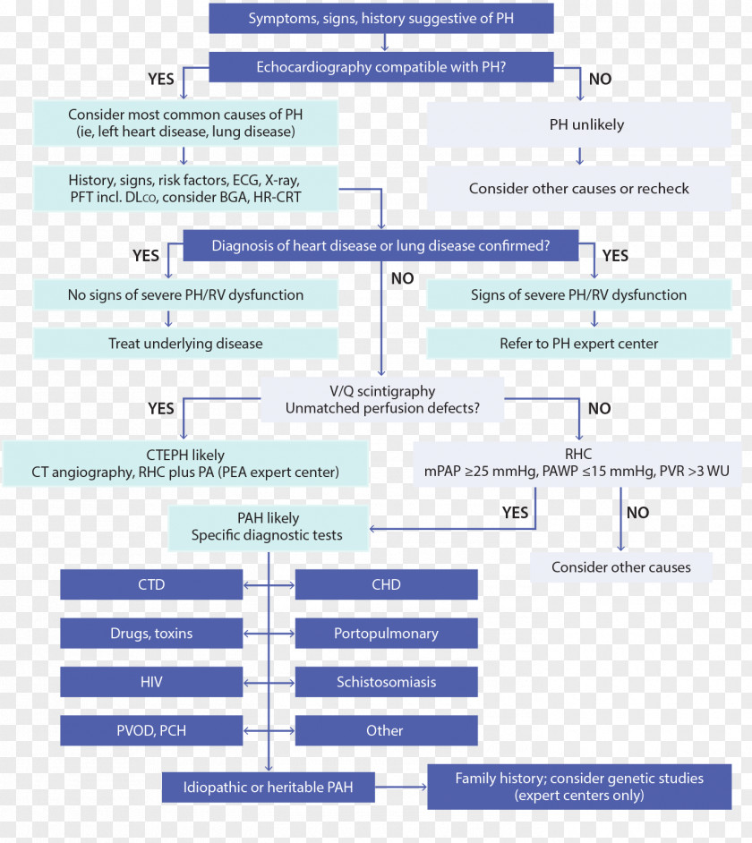 Portopulmonary Hypertension Connective Tissue Disease Medical Diagnosis PNG