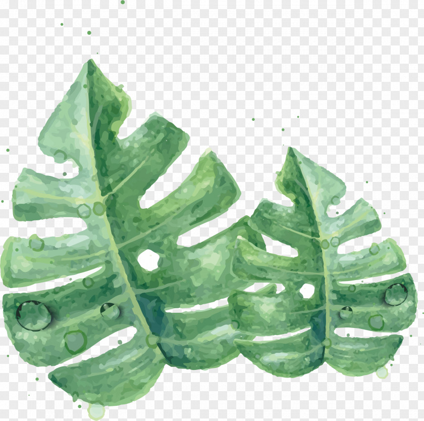 Watercolor Green Leaves Leaf Painting Skin PNG