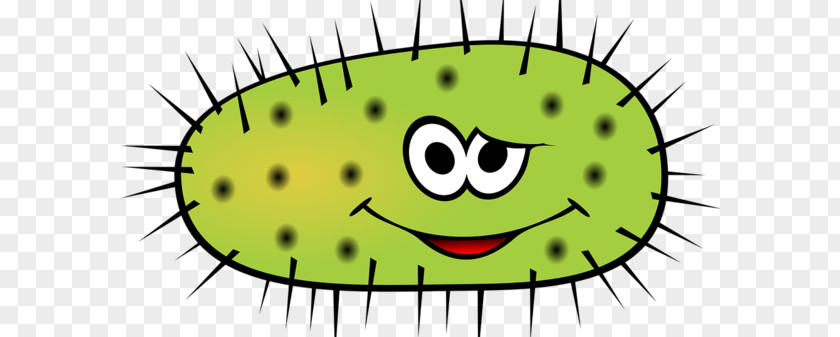 Bacteria PNG clipart PNG