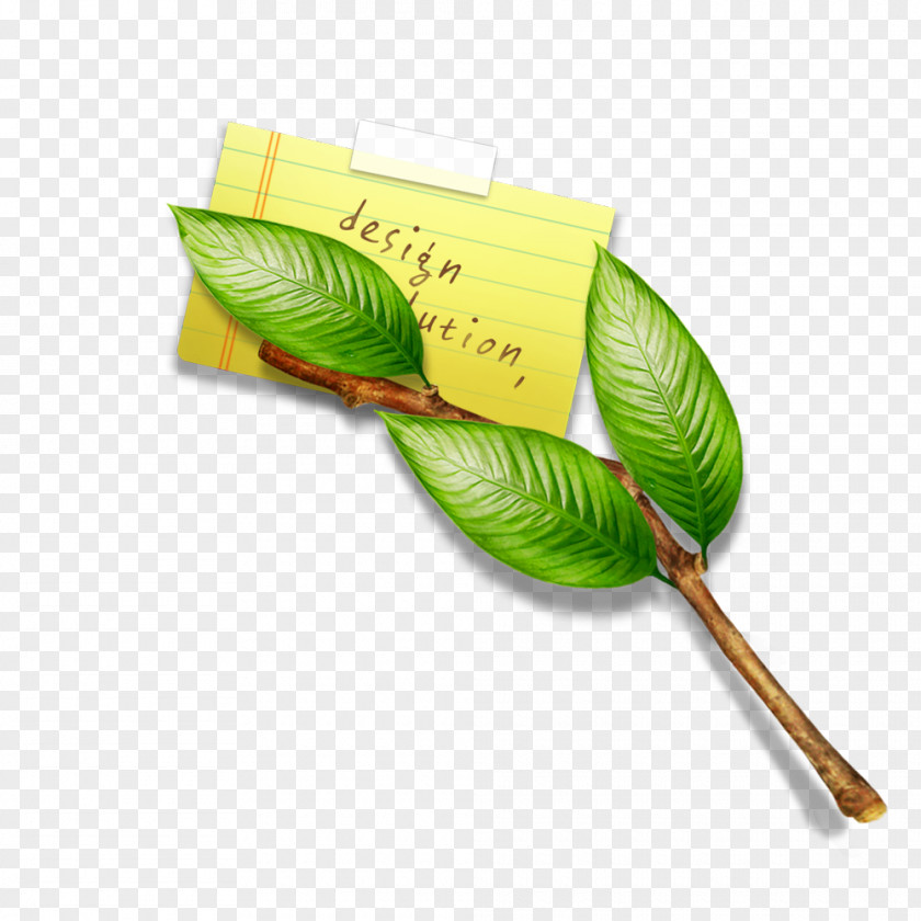 Green Leaves Envelopes Leaf Illustration PNG