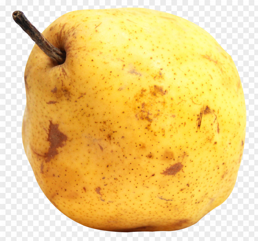 Pear Fruit PNG