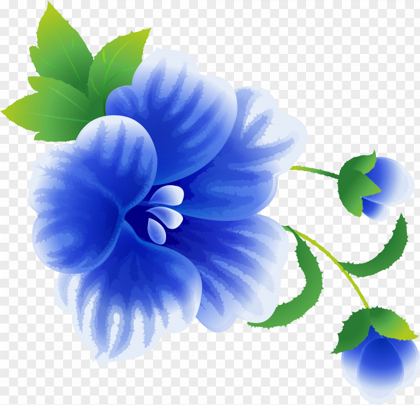 Blue Flowers Flower Love Petal .de PNG