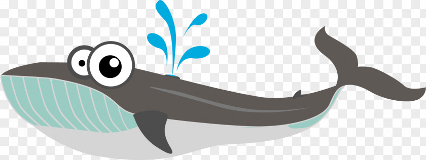 Cute Whale Whales Porpoise Shark Dolphin Baleen PNG