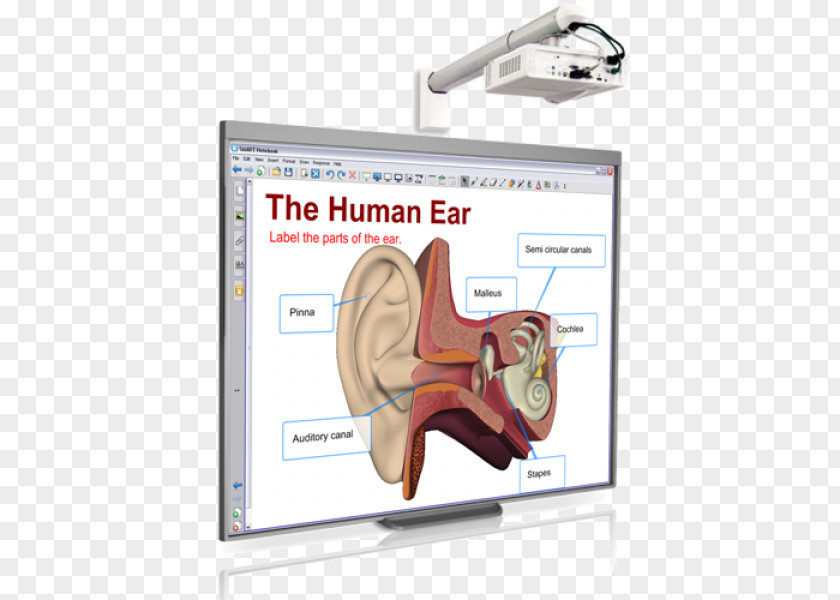 Interactive Whiteboard Multimedia Projectors Computer Software Smart Technologies PNG