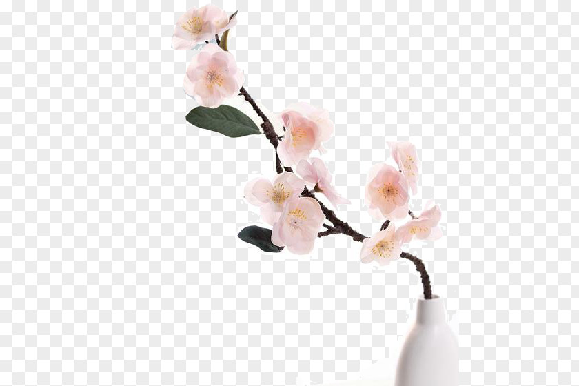 Sakura Flowers Cherry Blossom Flower Plum PNG
