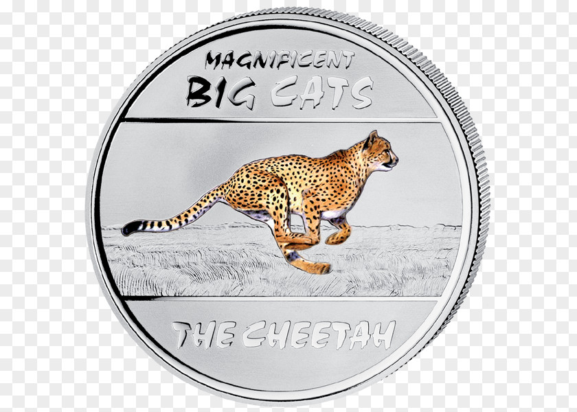 Silver Coin Cat Noble Metal PNG