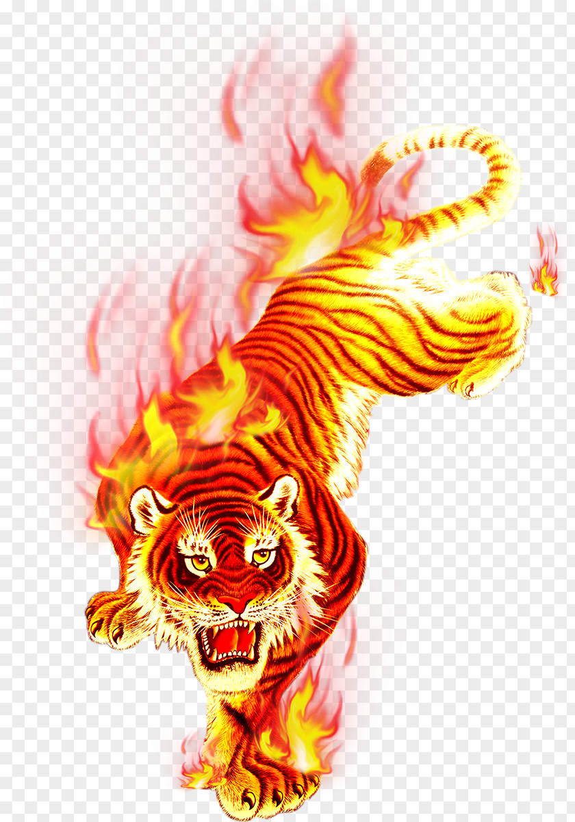 Tiger Flame Fire PNG