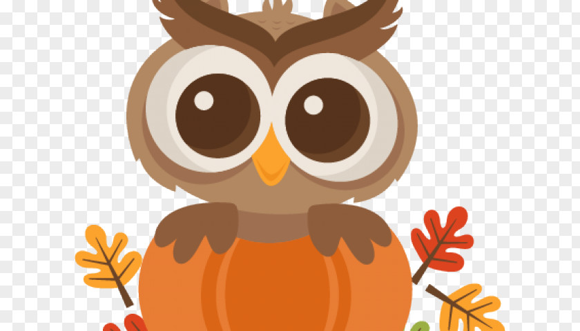Vindictive Owl Clip Art Autumn Image PNG