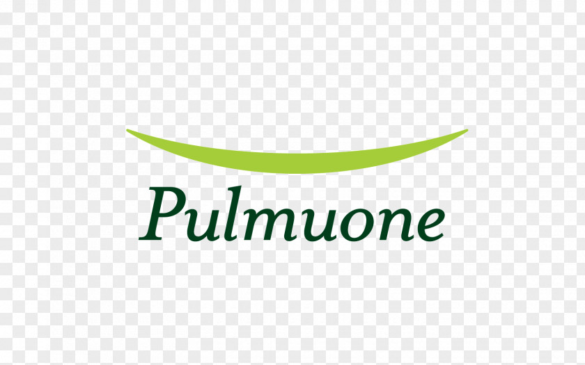 Cultural Festival Logo Brand Product Design Pulmuone PNG