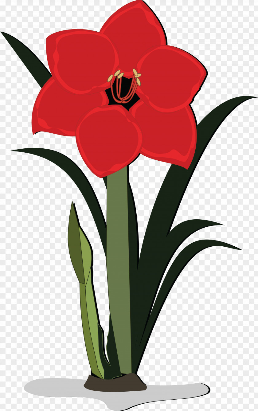 Flower Jersey Lily Clip Art PNG