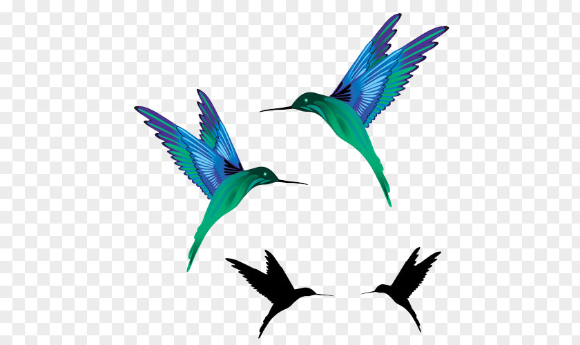 Flying Birds Hummingbird Tattoo Black-and-gray Idea PNG