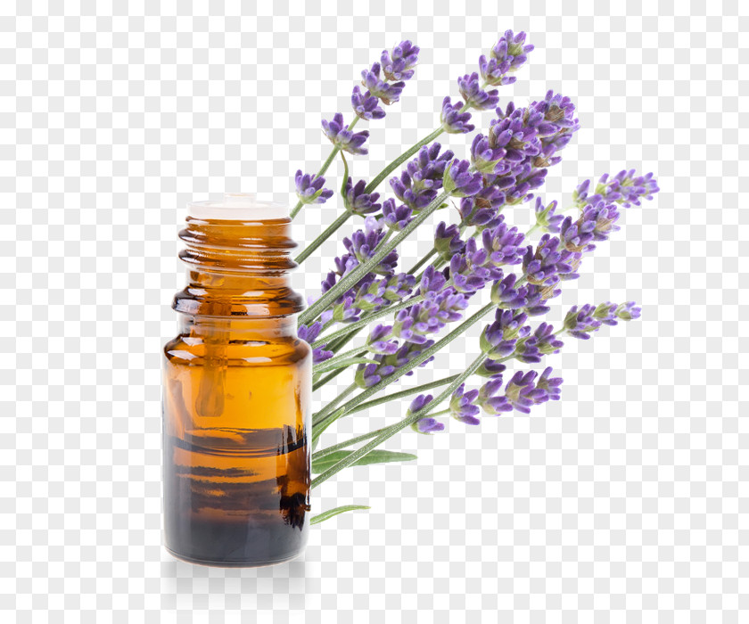 Millet English Lavender Oil Essential Provence PNG