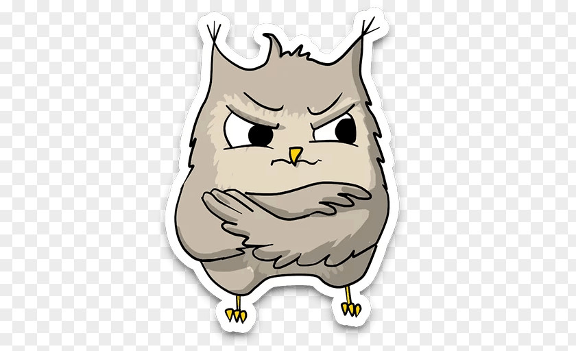 Owl Snout Beak Clip Art PNG