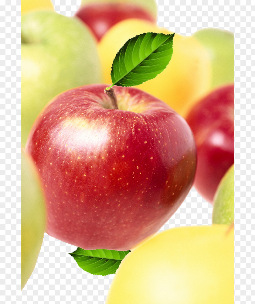 Red Apple Green Euclidean Vector PNG