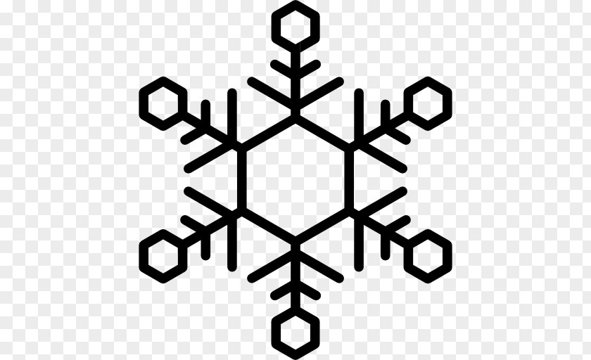 Snowflake Food PNG