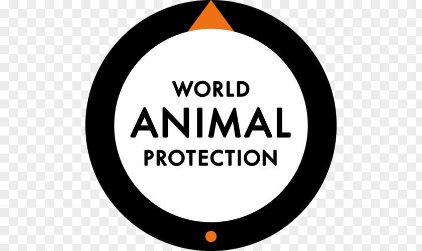 Animal World Protection Canada Welfare Tiger Temple PNG