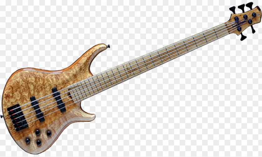 Bass Guitar Musical Instruments String Electric PNG