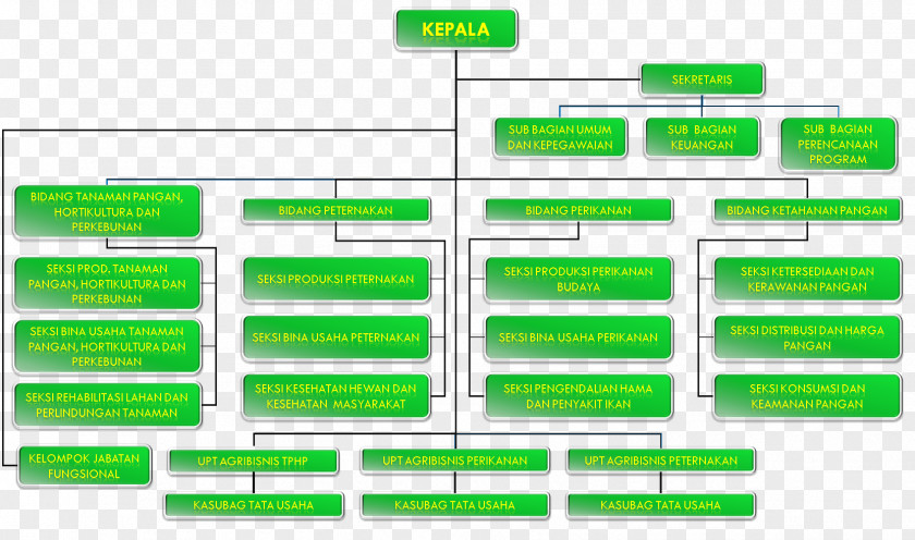 Business Organizational Structure Sukabumi Management PNG