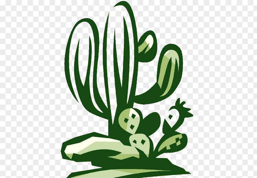 Cactus Cactaceae Download Clip Art PNG