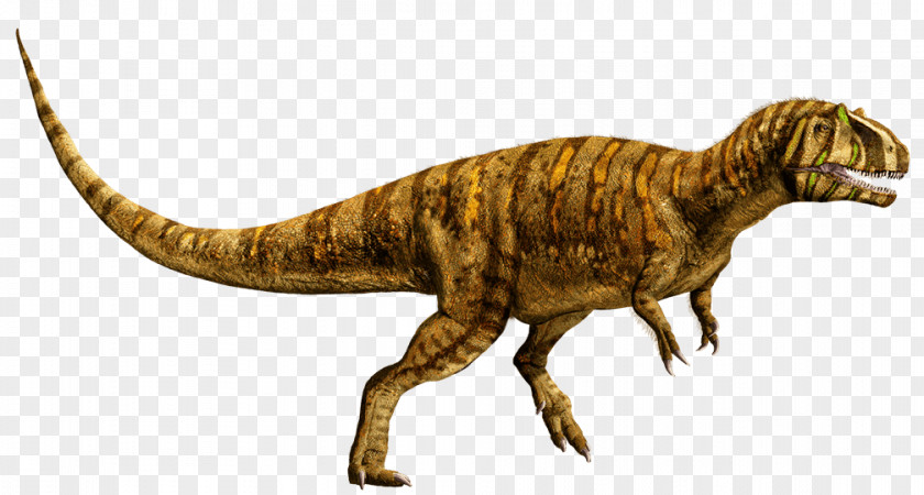 Dinosaur Metriacanthosaurus Tyrannosaurus Universal Pictures Suchomimus Dimorphodon PNG