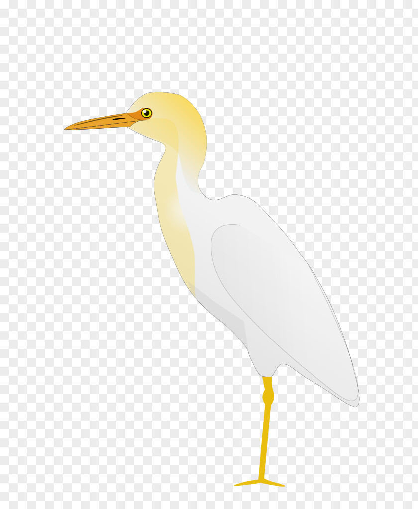 Egret Solar Term Bird Stork Cattle Pond Heron PNG