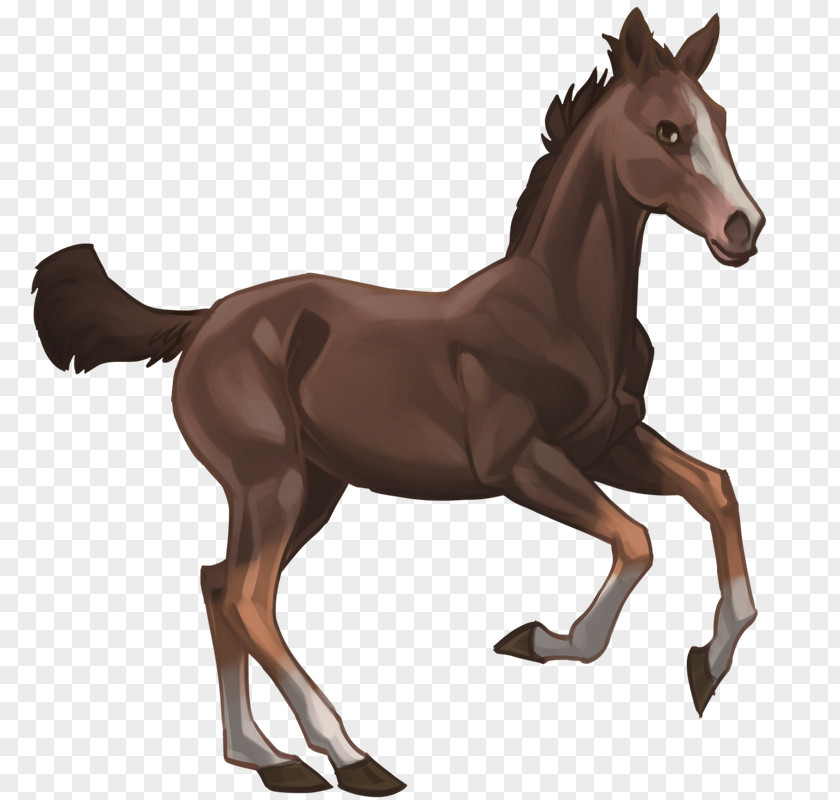 Mustang Foal Stallion Colt Rein PNG