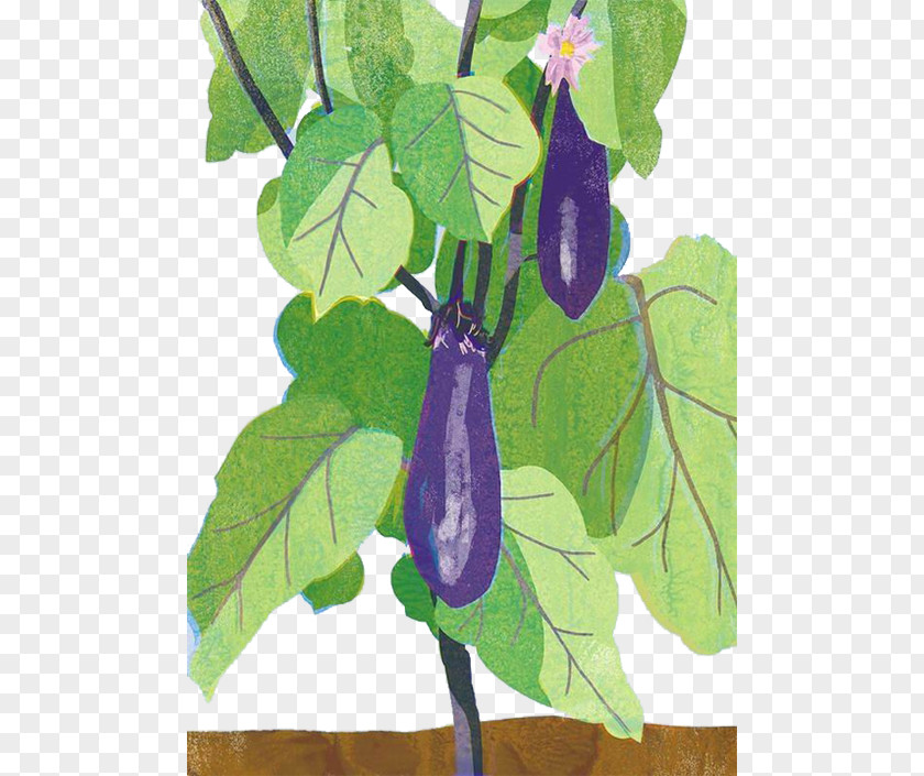 Purple Eggplant Japan Art Drawing Illustration PNG