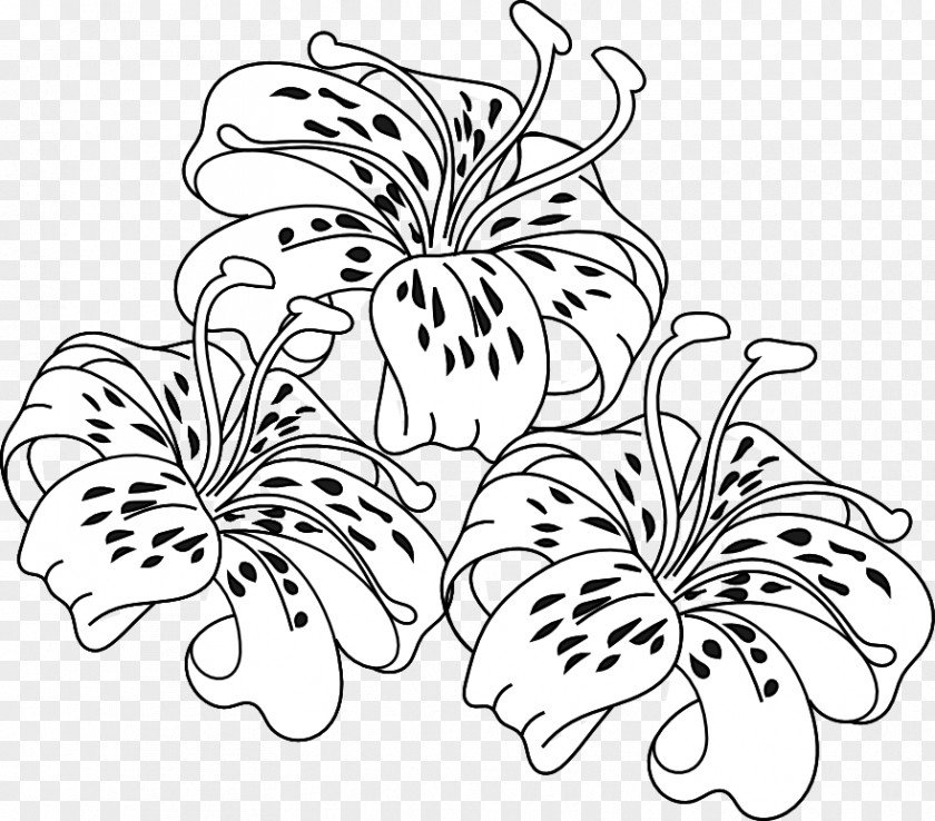 Tiger Lily Cliparts Easter Coloring Book Flower PNG