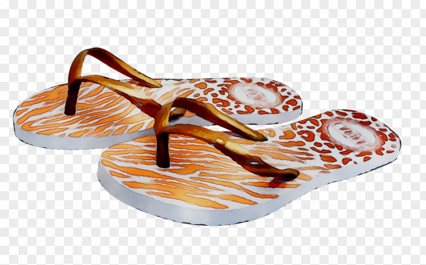 Flip-flops Shoe Orange S.A. PNG