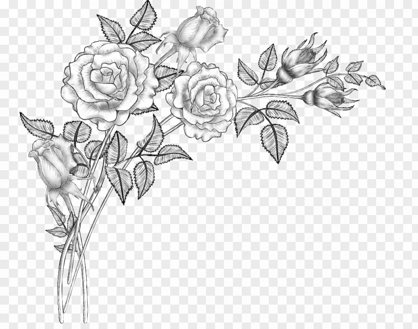 Floral Design Line Art Drawing Sketch PNG