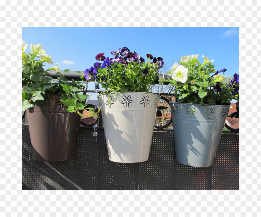 Flower Box Flowerpot Plastic Artificial Ceramic Purple PNG