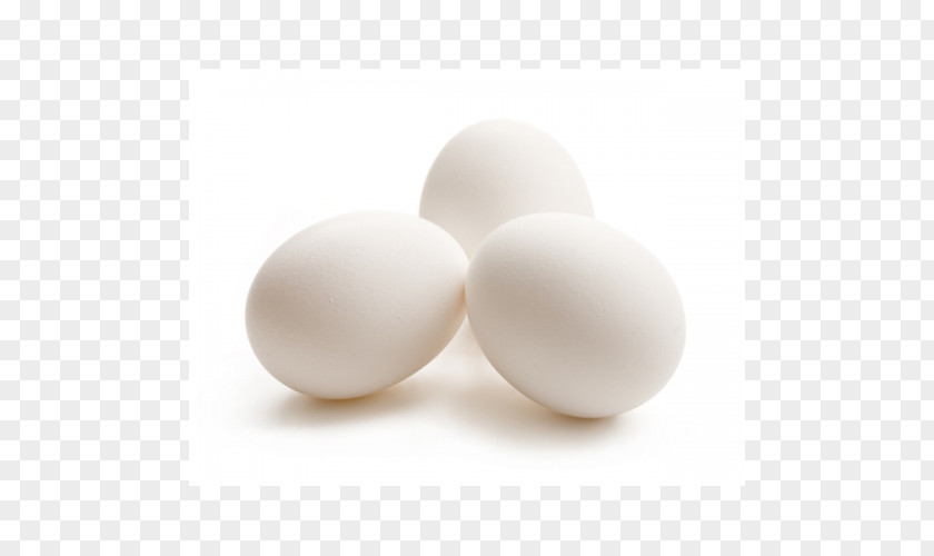 Free-range Eggs Chicken Egg White Dairy Products PNG