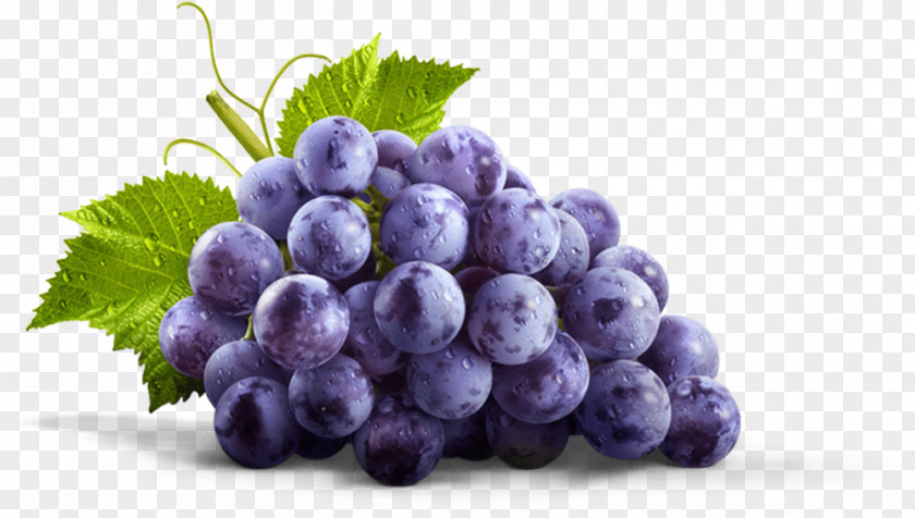 Grape Juice Fizzy Drinks Concord Gelatin Dessert PNG